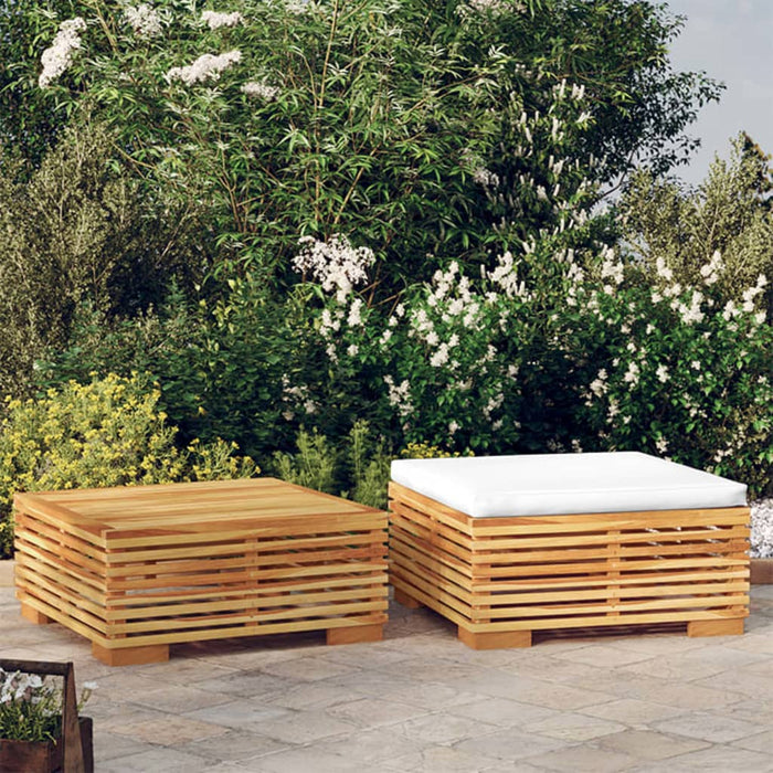 Set mobilier de grădină, 2 piese, lemn masiv de tec - WALTI WALTI