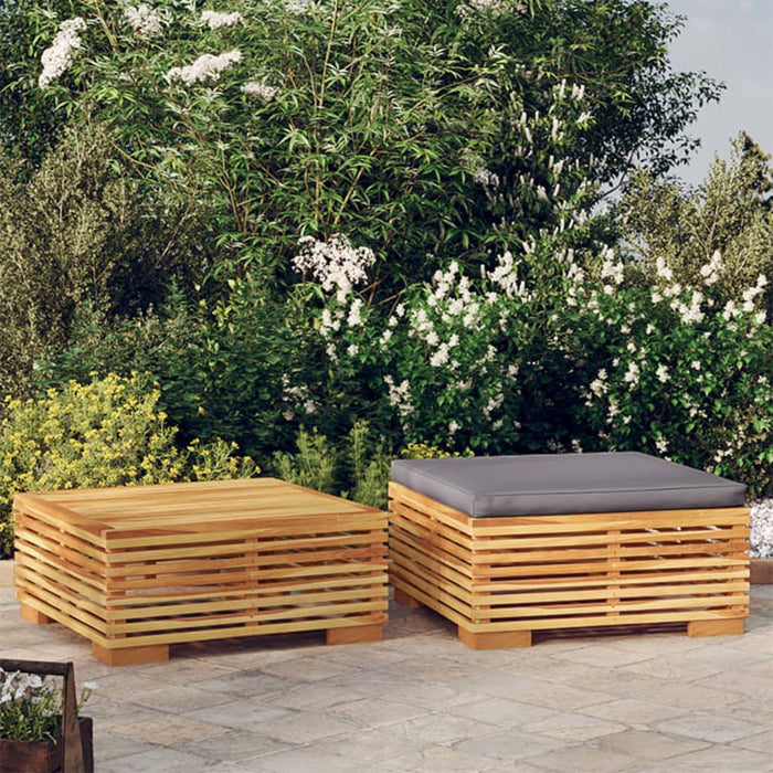 Set mobilier de grădină, 2 piese, lemn masiv de tec - WALTI WALTI