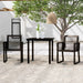 Set de mobilier pentru grădină, 3 piese, negru - WALTI WALTI