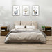 Noptiere, 2 buc, maro miere, 60x34x51 cm, lemn masiv de pin - WALTI WALTI
