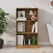 Bibliotecă, stejar fumuriu, 60x24x109 cm, lemn prelucrat - WALTI WALTI