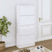 Pantofar, alb extralucios, 63x24x147 cm, lemn compozit - WALTI WALTI