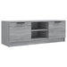 Comodă TV, gri sonoma, 102x35x36,5 cm, lemn prelucrat - WALTI WALTI