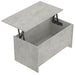 Măsuță de cafea, gri beton, 102x55,5x52,5 cm, lemn prelucrat - WALTI WALTI