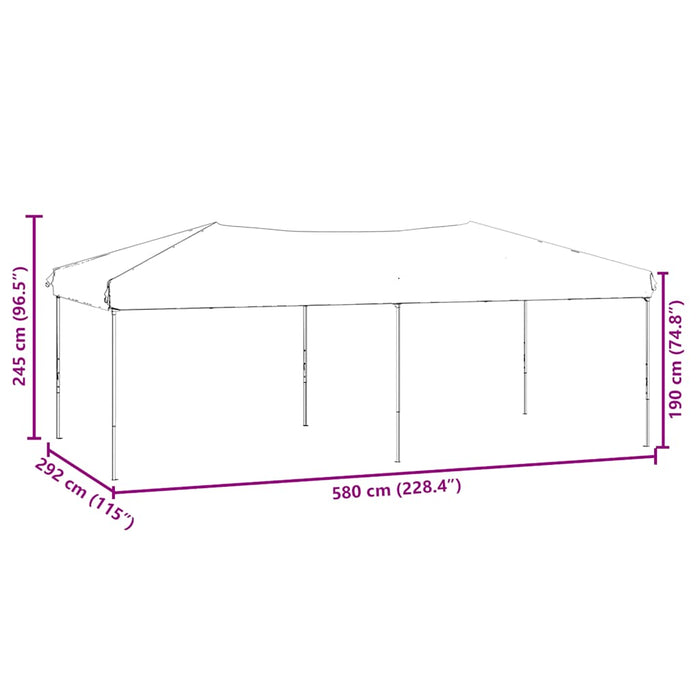 Cort pliabil pentru petrecere, pereți laterali, antracit, 3x6 m - WALTI WALTI