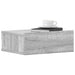 Noptiere plutitoare 2 buc gri sonoma 40x30x15 cm lemn prelucrat - WALTI WALTI