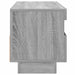 Comodă TV cu lumini LED, gri sonoma, 100x35x40 cm - WALTI WALTI