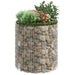Stâlp de gabion, Ø100x100 cm, oțel galvanizat, circular - WALTI WALTI