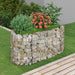 Strat înălțat gabion, 120x50x50 cm, fier galvanizat - WALTI WALTI
