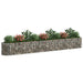 Strat înălțat gabion, 400x50x50 cm, fier galvanizat - WALTI WALTI