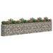 Strat înălțat gabion, 540x50x100 cm, fier galvanizat - WALTI WALTI