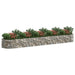 Strat înălțat gabion, 500x100x50 cm, fier galvanizat - WALTI WALTI