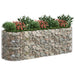Strat înălțat gabion, 300x100x100 cm, fier galvanizat - WALTI WALTI