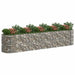 Strat înălțat gabion, 500x100x100 cm, fier galvanizat - WALTI WALTI