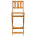 Set de bar de exterior, 3 piese, lemn masiv de acacia - WALTI WALTI