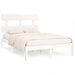  WALTI