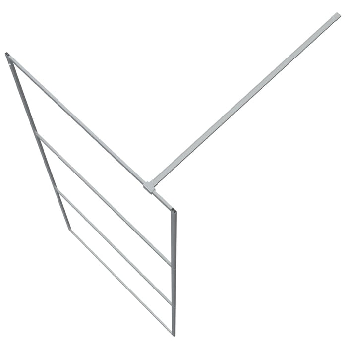 Paravan duș walk-in argintiu 90x195 cm sticlă ESG transparentă - WALTI WALTI