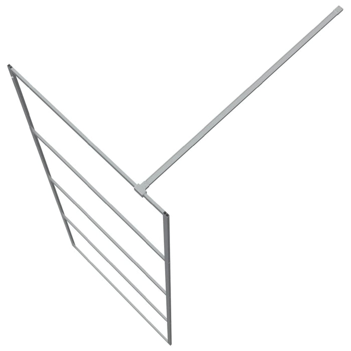 Paravan duș walk-in argintiu 80x195 cm sticlă ESG transparentă - WALTI WALTI