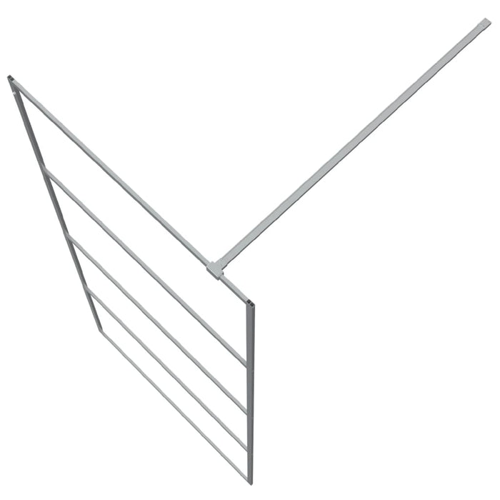 Paravan duș walk-in argintiu 90x195 cm sticlă ESG transparentă - WALTI WALTI
