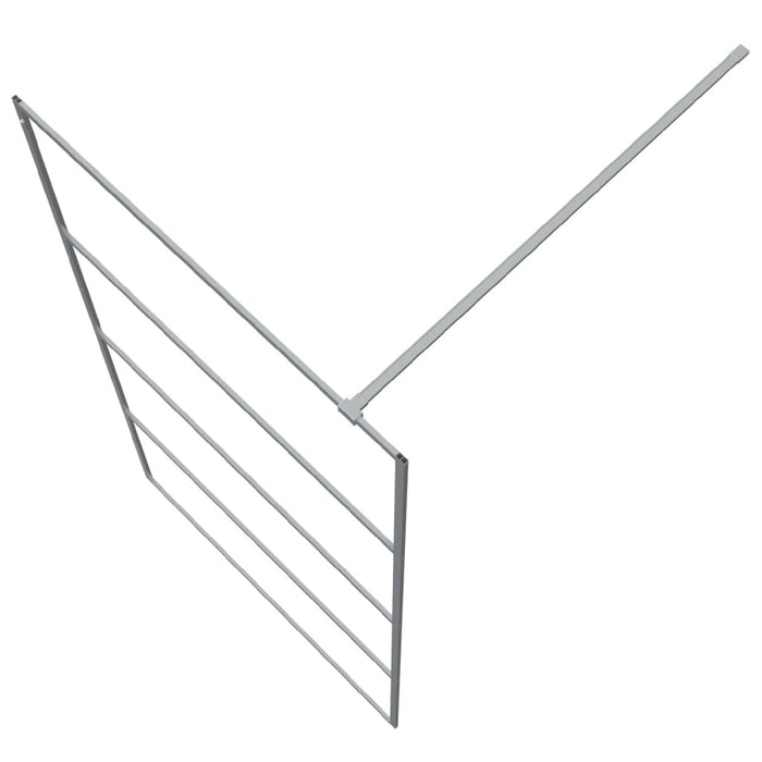 Paravan duș walk-in argintiu 100x195 cm sticlă ESG transparentă - WALTI WALTI