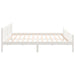  WALTI