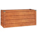 Strat înălțat de grădină, ruginiu, 100x40x45 cm, oțel corten - WALTI WALTI