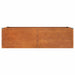 Strat înălțat de grădină, ruginiu, 160x80x45 cm, oțel corten - WALTI WALTI