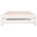 Pat de zi extensibil, alb, 2x(80x200) cm, lemn masiv de pin - WALTI WALTI