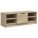 Comodă TV, stejar sonoma, 102x35,5x36,5 cm, lemn compozit - WALTI WALTI
