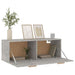 Dulap de perete, gri beton, 100x36,5x35 cm, lemn prelucrat - WALTI WALTI