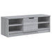 Comodă TV, gri sonoma, 102x35,5x36,5 cm, lemn compozit - WALTI WALTI