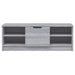 Comodă TV, gri sonoma, 102x35,5x36,5 cm, lemn compozit - WALTI WALTI
