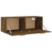 Dulap de perete, stejar fumuriu, 100x36,5x35 cm, lemn prelucrat - WALTI WALTI