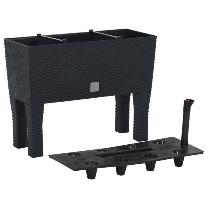 Strat de grădină înălțat antracit 60x25x46 cm ratan PP - WALTI WALTI