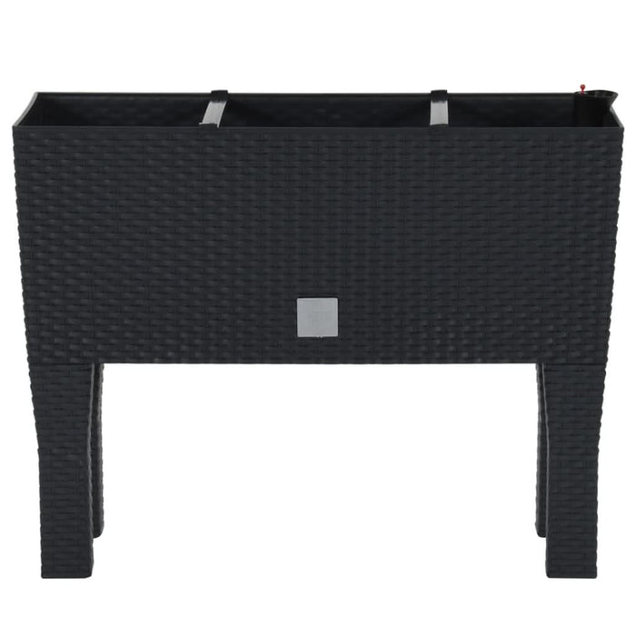 Strat de grădină înălțat antracit 60x25x46 cm ratan PP - WALTI WALTI