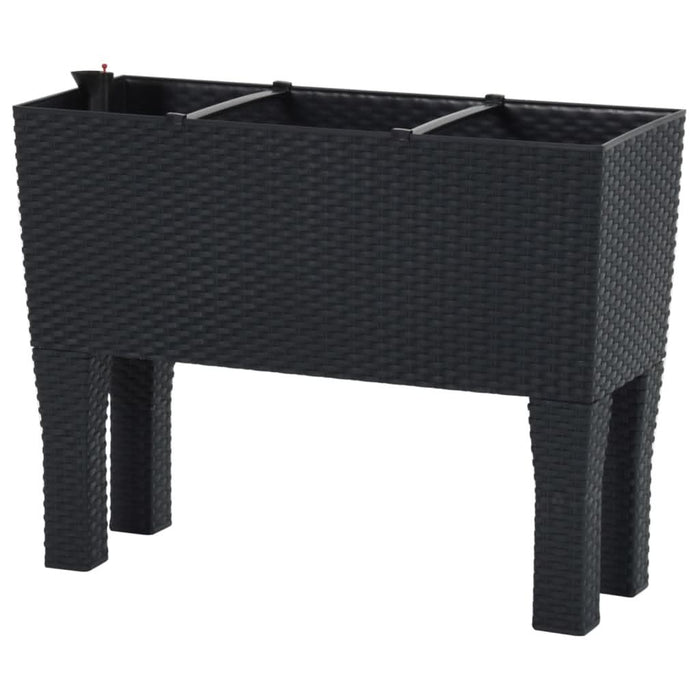 Strat de grădină înălțat antracit 60x25x46 cm ratan PP - WALTI WALTI