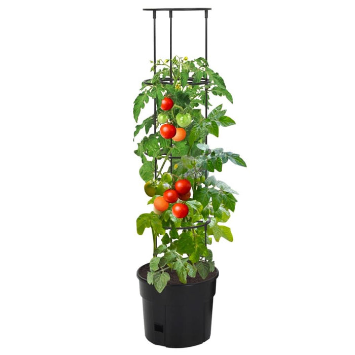 Ghiveci cultivare roșii, antracit, Ø 29,5x115 cm, polipropilenă - WALTI WALTI