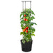 Ghiveci cultivare roșii, antracit, Ø 29,5x115 cm, polipropilenă - WALTI WALTI