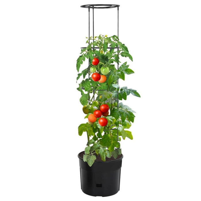 Ghiveci cultivare roșii, antracit, Ø 39x150 cm, polipropilenă - WALTI WALTI