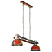 Lustră suspendată industrială 25 W, multicolor, 111 cm E27 - WALTI WALTI