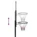 Suport coș de baschet, transparent, 256-361 cm, policarbonat - WALTI WALTI