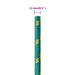 Frânghie de barcă, verde, 12 mm, 100 m, polipropilenă - WALTI WALTI