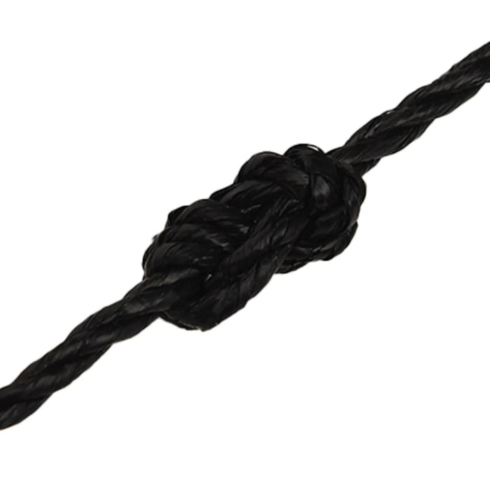 Frânghie de lucru, negru, 6 mm, 50 m, polipropilenă - WALTI WALTI