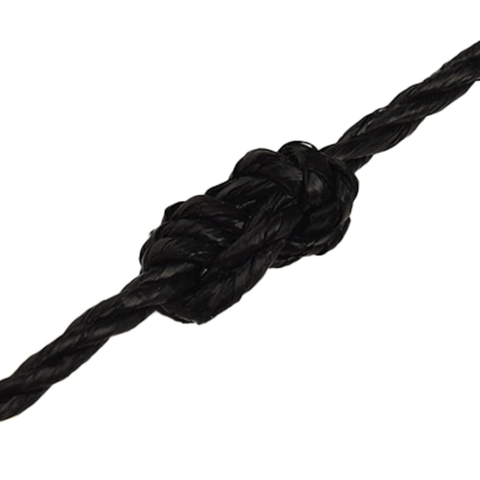 Frânghie de lucru, negru, 6 mm, 500 m, polipropilenă - WALTI WALTI
