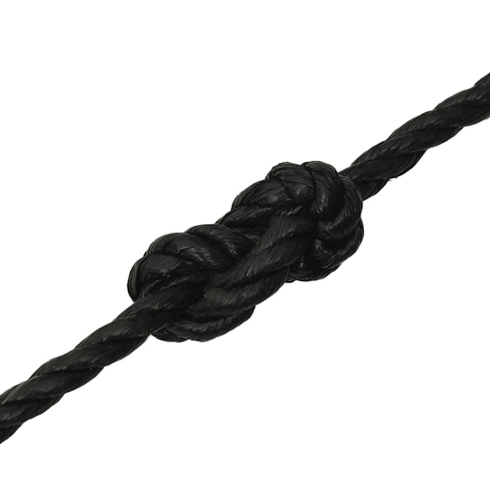 Frânghie de lucru, negru, 10 mm, 25 m, polipropilenă - WALTI WALTI
