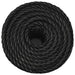 Frânghie de lucru, negru, 10 mm, 50 m, polipropilenă - WALTI WALTI