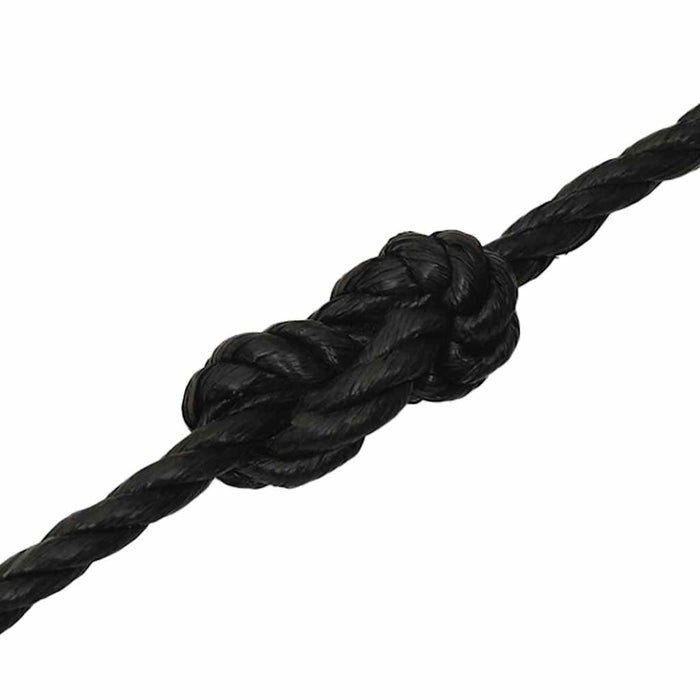 Frânghie de lucru, negru, 10 mm, 50 m, polipropilenă - WALTI WALTI