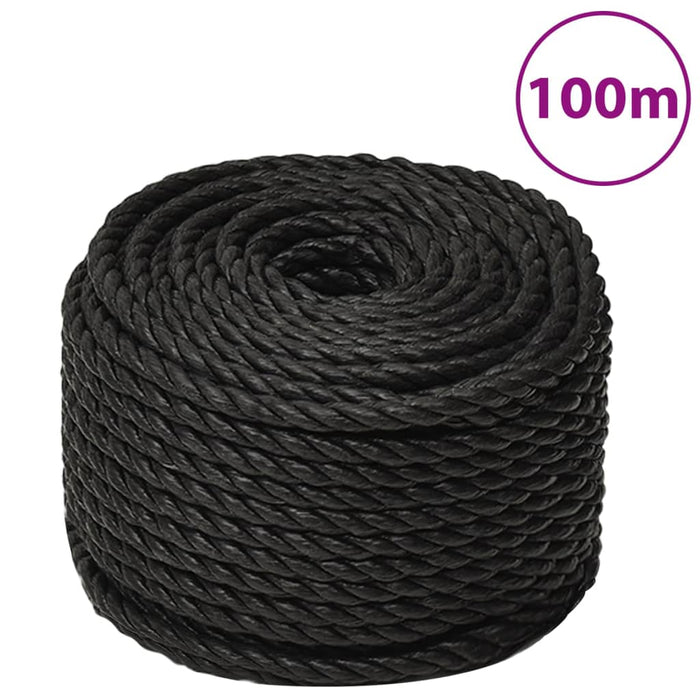 Frânghie de lucru, negru, 10 mm, 100 m, polipropilenă - WALTI WALTI