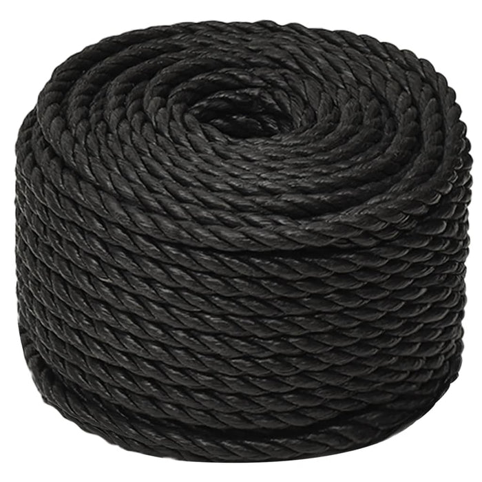 Frânghie de lucru, negru, 10 mm, 100 m, polipropilenă - WALTI WALTI