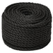 Frânghie de lucru, negru, 10 mm, 100 m, polipropilenă - WALTI WALTI